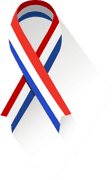 flag-ribbon-web flag-ribbon-web