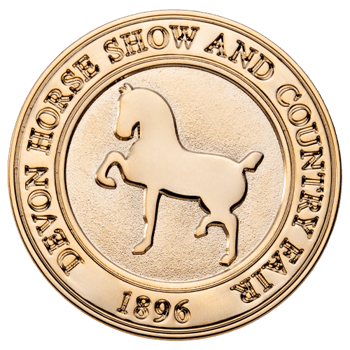 Die Struck - Lapel Pins