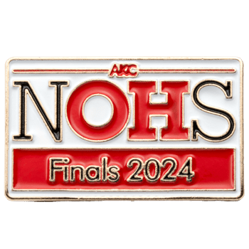 Soft Enamel - Lapel Pins